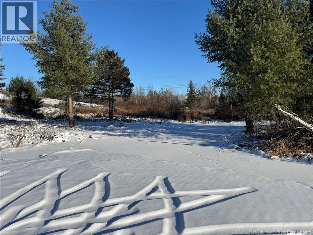 Lot Kingsley Road, Estey's Bridge, New Brunswick  E3G 6G8 - Photo 3 - NB131167