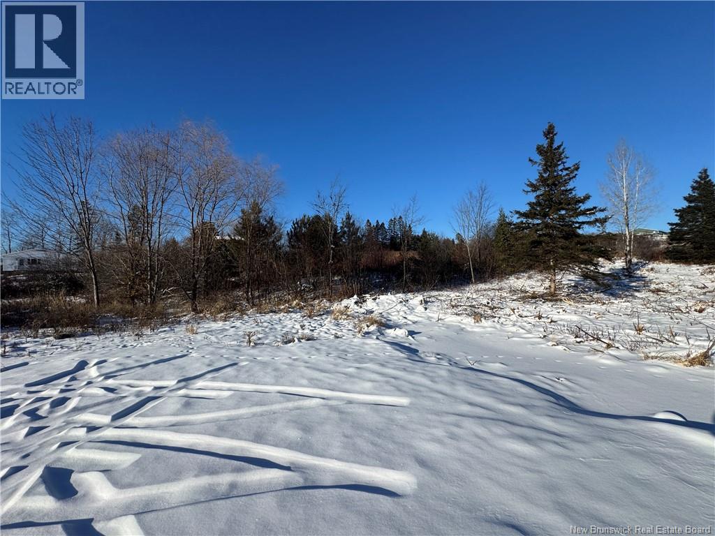 Lot Kingsley Road, Estey's Bridge, New Brunswick  E3G 6G8 - Photo 4 - NB131167