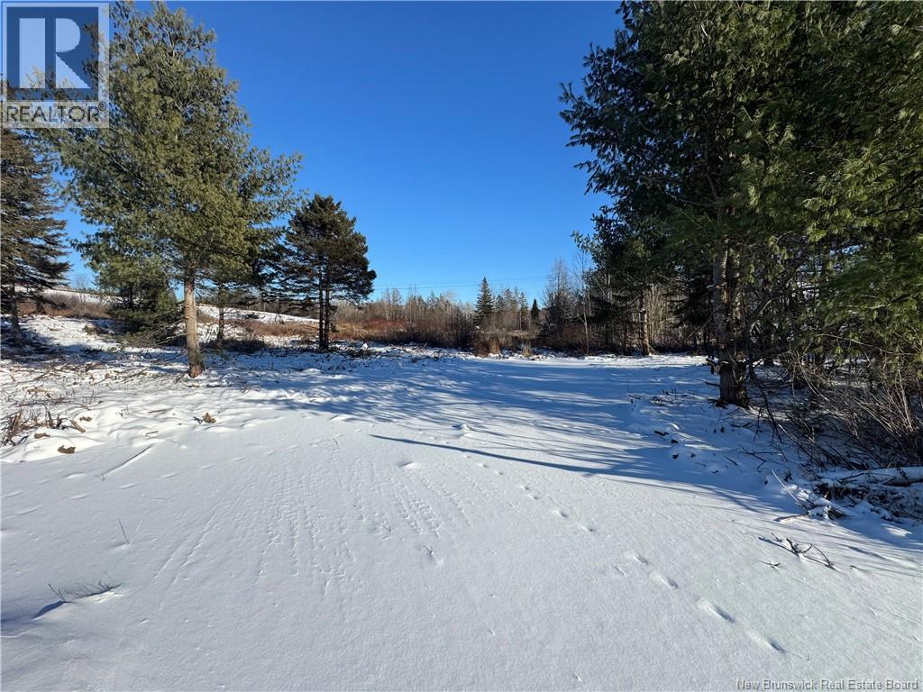 Lot Kingsley Road, Estey's Bridge, New Brunswick  E3G 6G8 - Photo 5 - NB131167