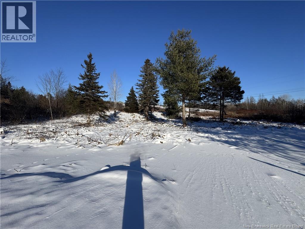 Lot Kingsley Road, Estey's Bridge, New Brunswick  E3G 6G8 - Photo 7 - NB131167