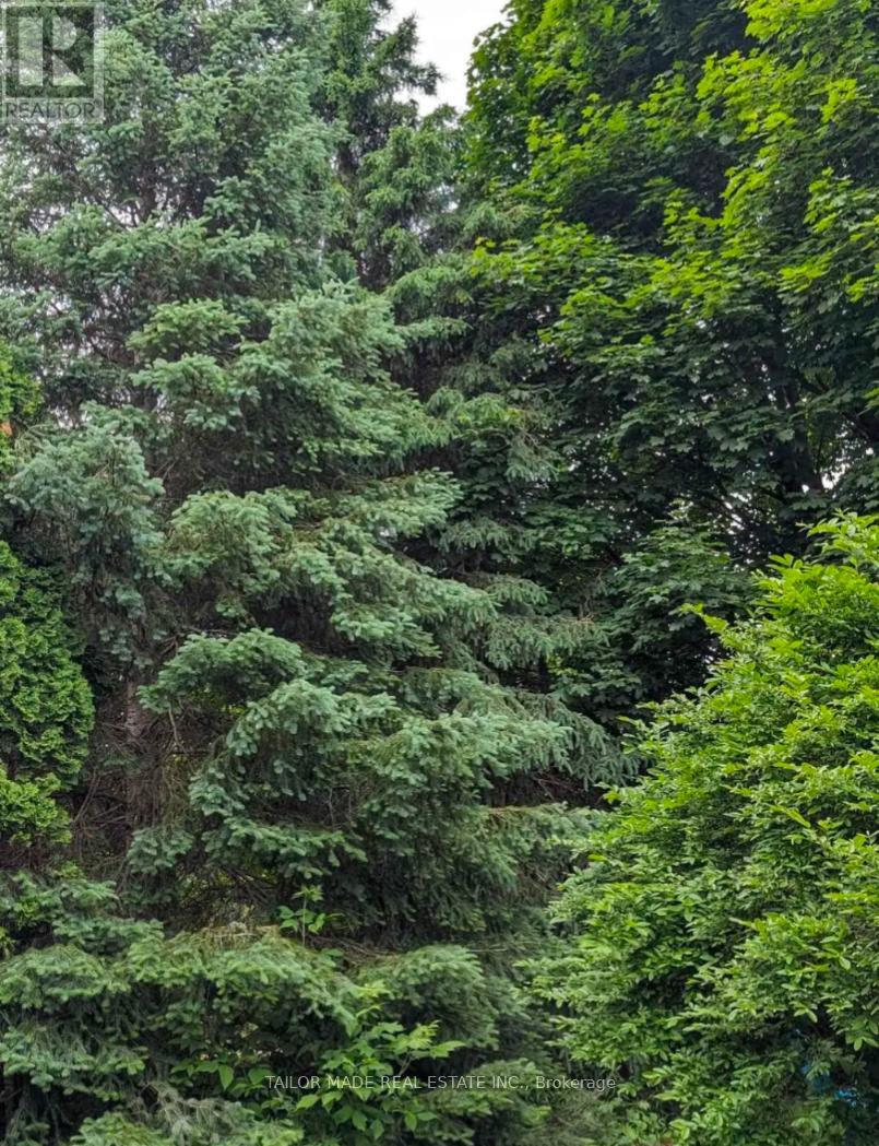 11 Ingleview Drive, Caledon, Ontario  L7C 1P3 - Photo 2 - W12641242