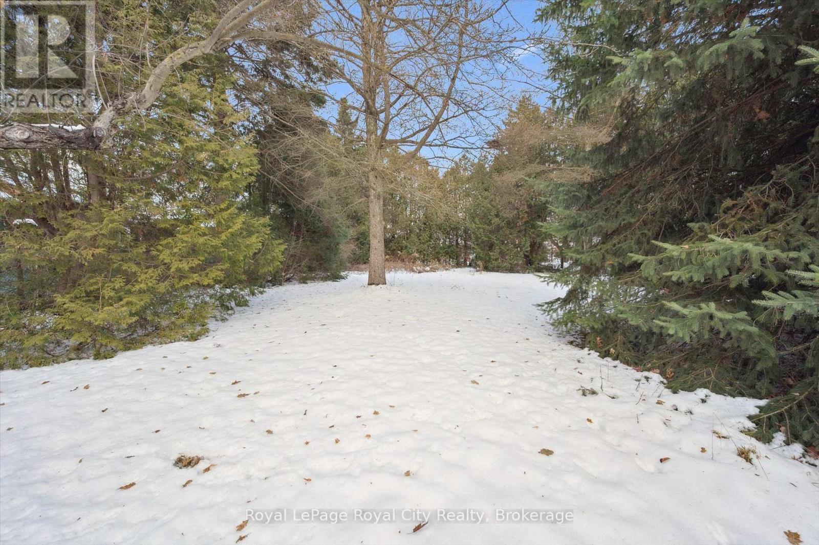 107 Westmount Road, Guelph, Ontario N1H 5J2 - Photo 39 - X12641352