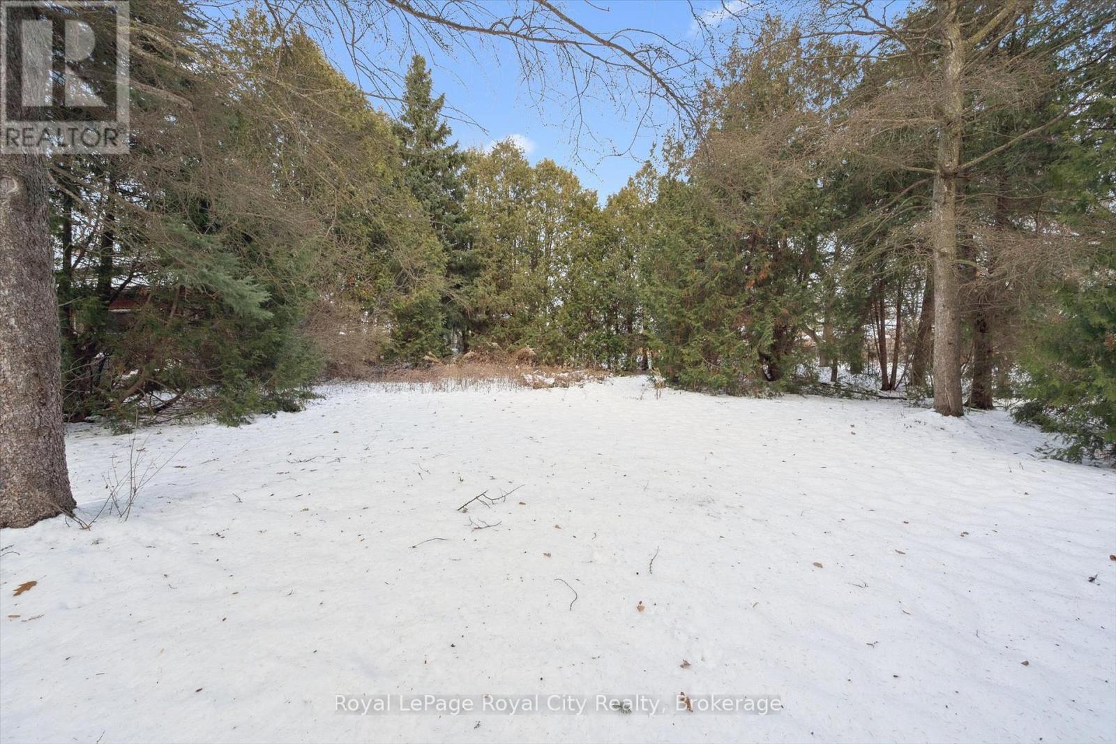 107 Westmount Road, Guelph, Ontario N1H 5J2 - Photo 40 - X12641352