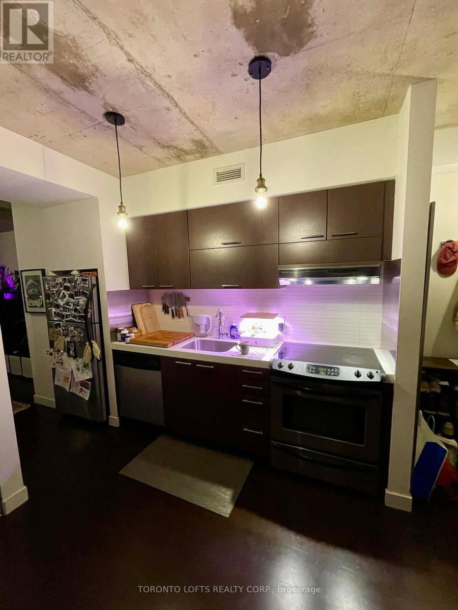 511 - 55 Stewart Street, Toronto, Ontario  M5V 2V1 - Photo 3 - C12641294