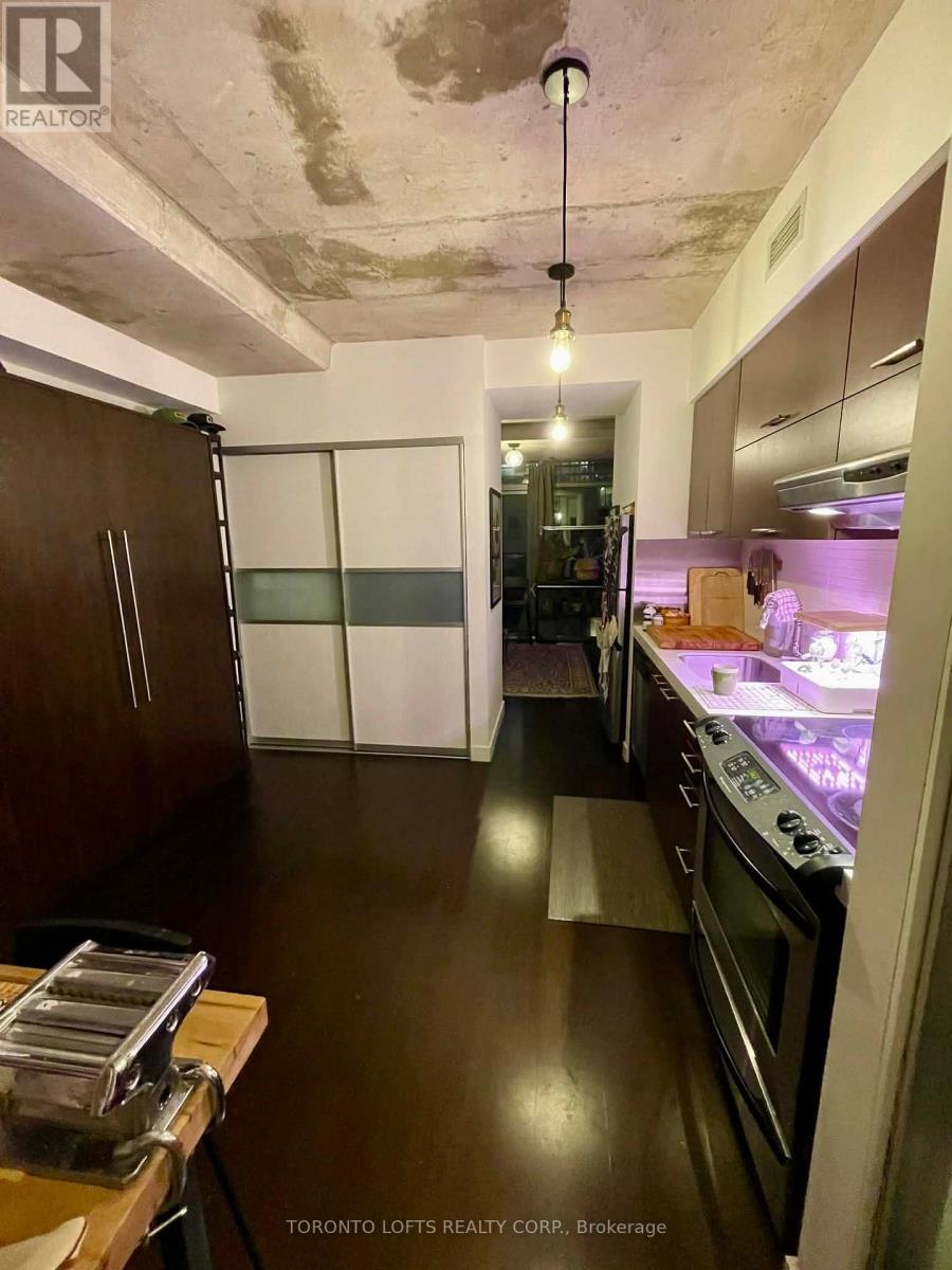 511 - 55 Stewart Street, Toronto, Ontario  M5V 2V1 - Photo 5 - C12641294