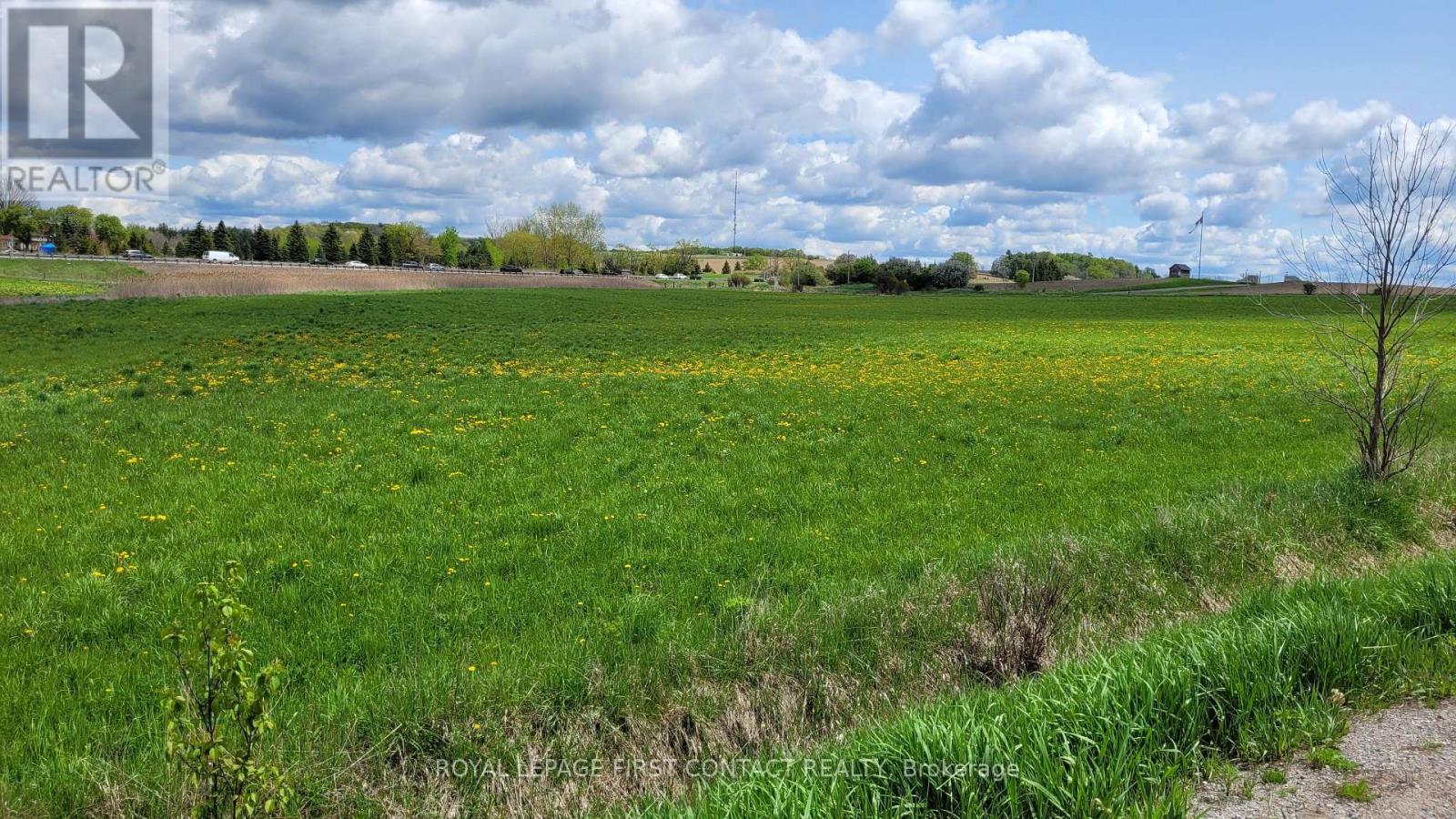 3568 4 Line, Bradford West Gwillimbury, Ontario  L3Z 2L7 - Photo 5 - N12641382