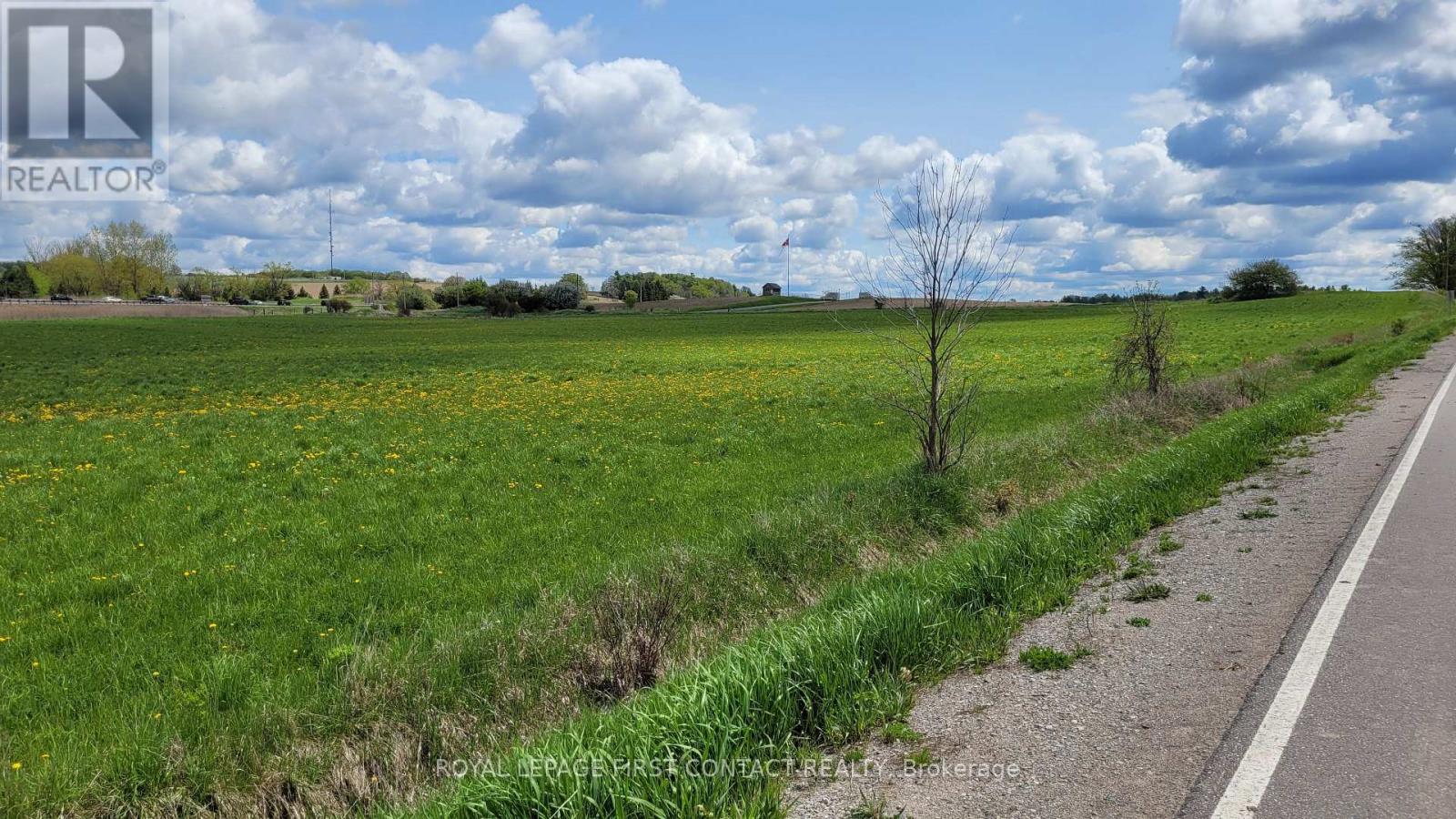 3568 4 Line, Bradford West Gwillimbury, Ontario  L3Z 2L7 - Photo 6 - N12641382