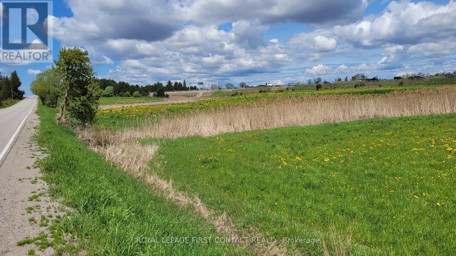 3568 4 Line, Bradford West Gwillimbury, Ontario  L3Z 2L7 - Photo 7 - N12641382