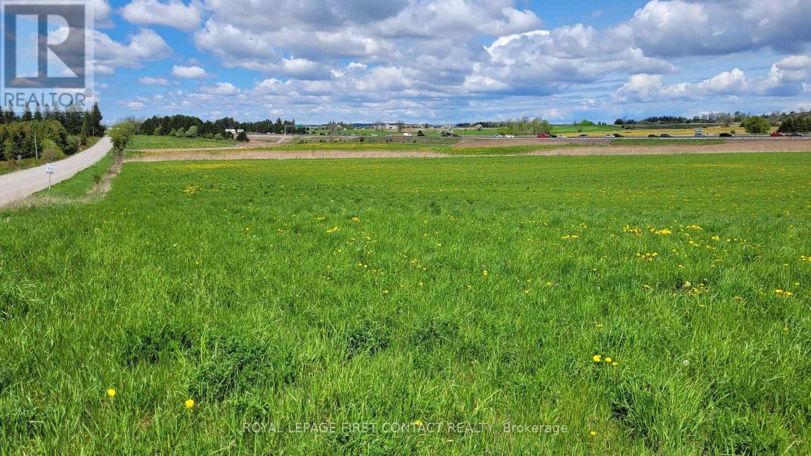 3568 4 Line, Bradford West Gwillimbury, Ontario  L3Z 2L7 - Photo 8 - N12641382