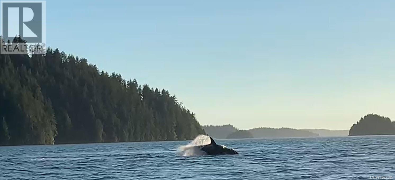 Lot 2 Nootka Island, Nootka Island, British Columbia  V0P 1X0 - Photo 5 - 1022085