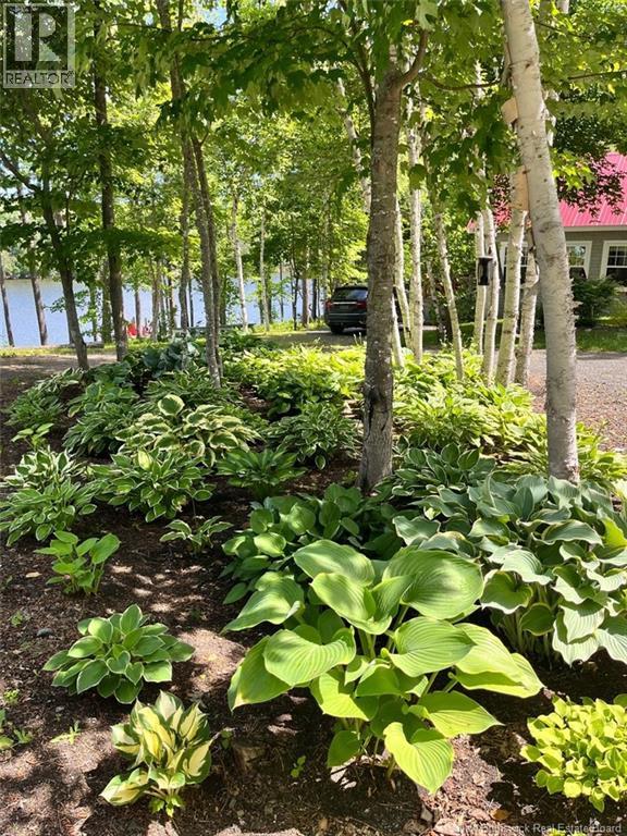 270 Straight Brook Road, Tabusintac, New Brunswick  E9H 2B3 - Photo 14 - NB131366