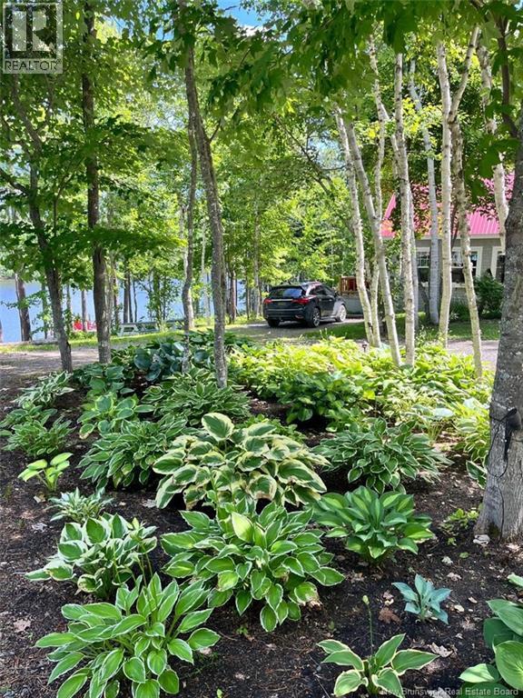 270 Straight Brook Road, Tabusintac, New Brunswick  E9H 2B3 - Photo 13 - NB131366