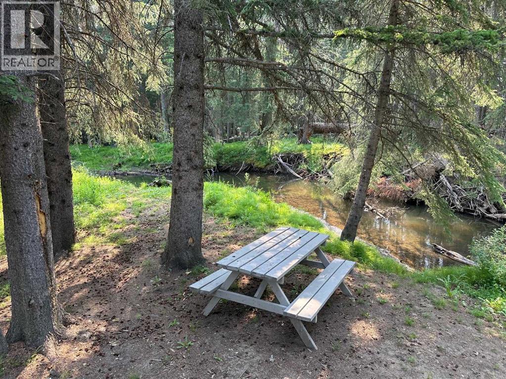 84038 591 Highway, Caroline, Alberta  T0M 0M0 - Photo 32 - A2161940