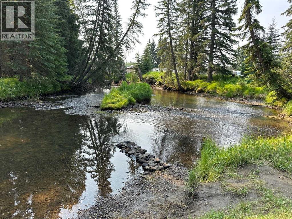 84038 591 Highway, Caroline, Alberta  T0M 0M0 - Photo 3 - A2161940