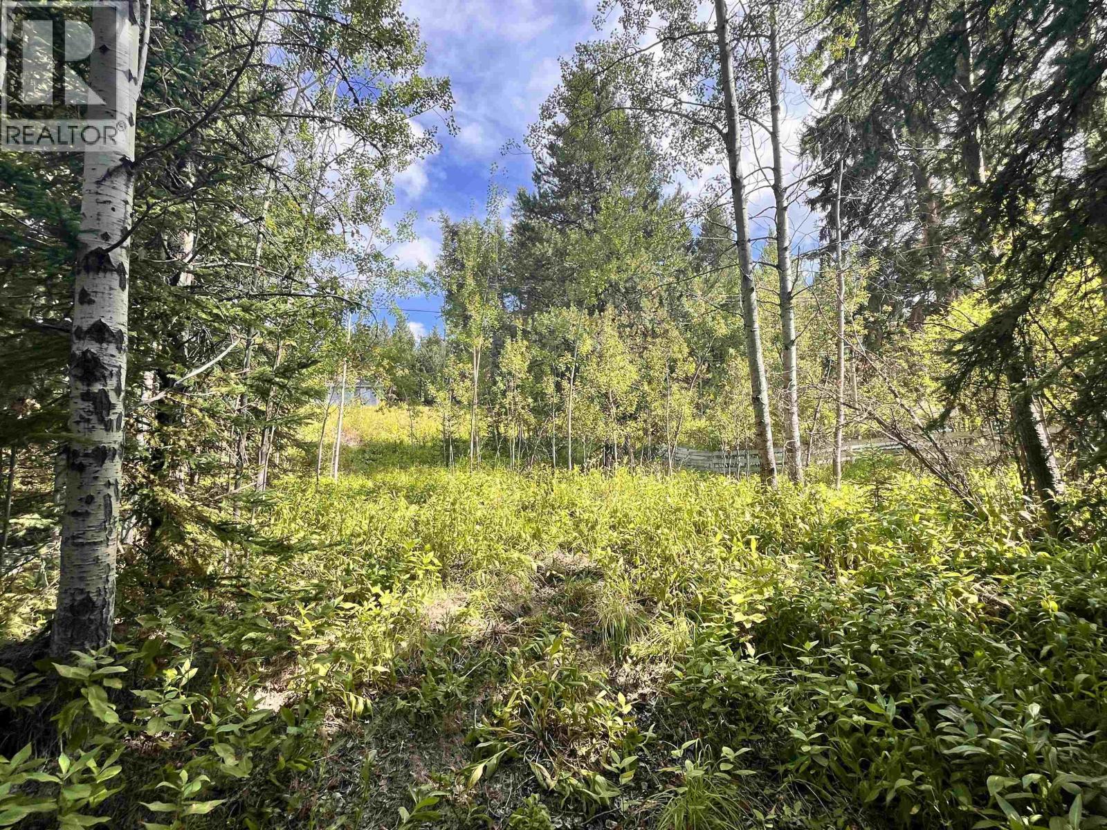 6120 Ranchette Road, Horse Lake, British Columbia  V0K 2E3 - Photo 10 - R3074452