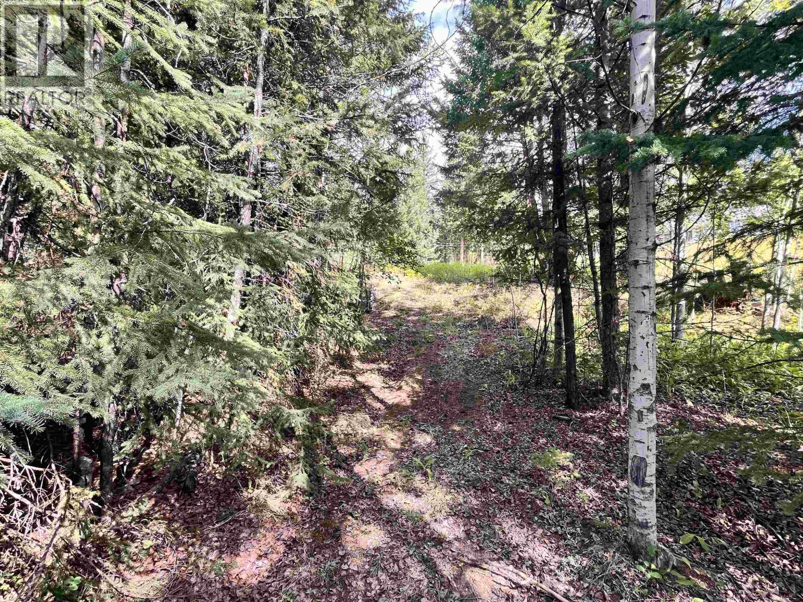 6120 Ranchette Road, Horse Lake, British Columbia  V0K 2E3 - Photo 7 - R3074452