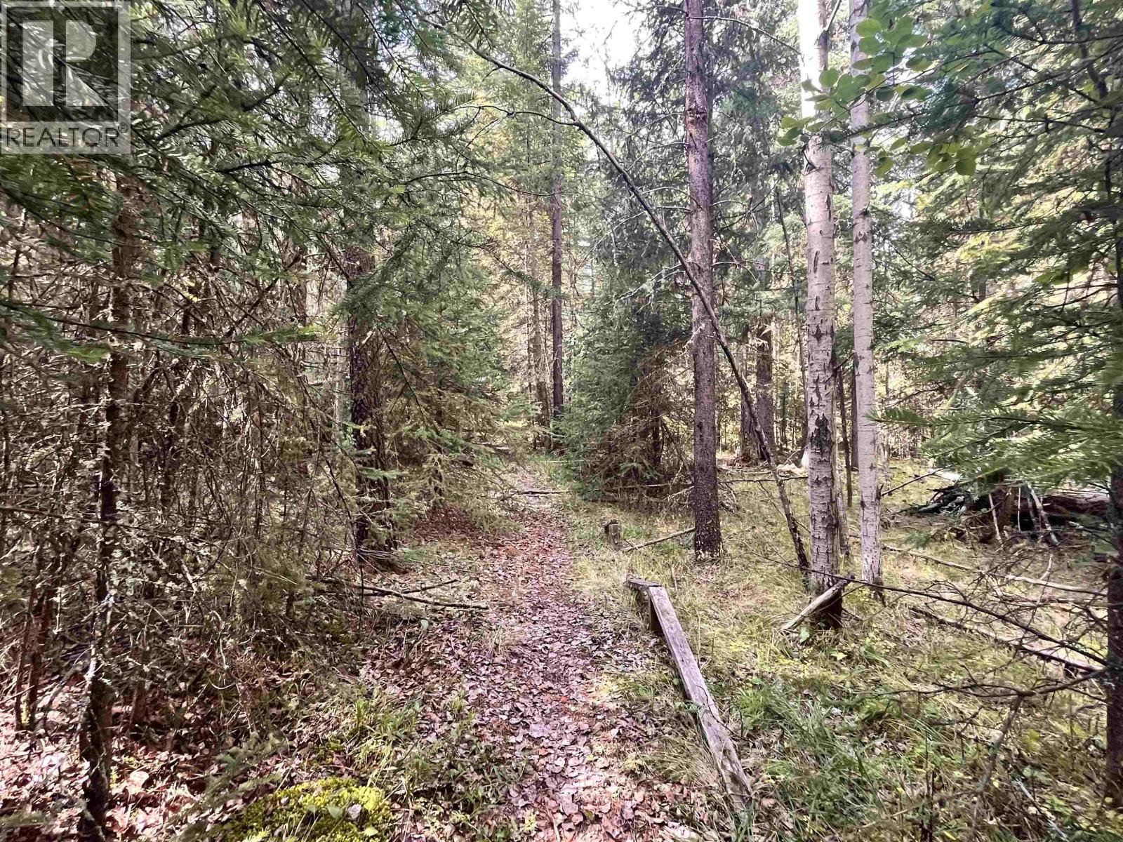 6120 Ranchette Road, Horse Lake, British Columbia  V0K 2E3 - Photo 8 - R3074452