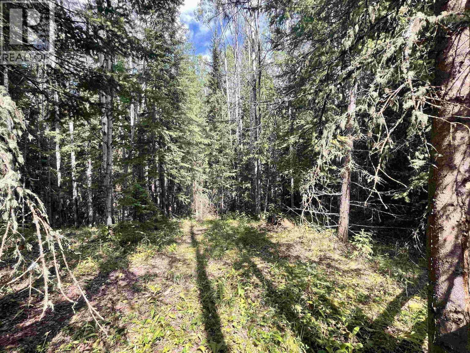 6120 Ranchette Road, Horse Lake, British Columbia  V0K 2E3 - Photo 9 - R3074452