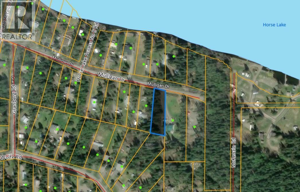 Lot 81 Mulligan Drive, Horse Lake, British Columbia  V0K 2E3 - Photo 8 - R3074457
