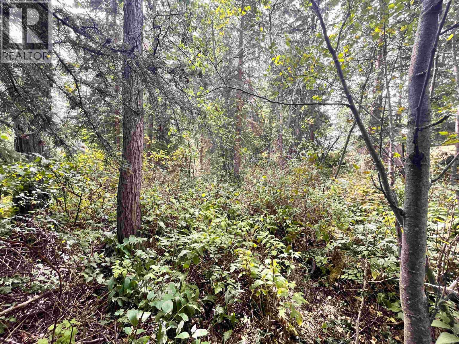Lot 81 Mulligan Drive, Horse Lake, British Columbia  V0K 2E3 - Photo 5 - R3074457
