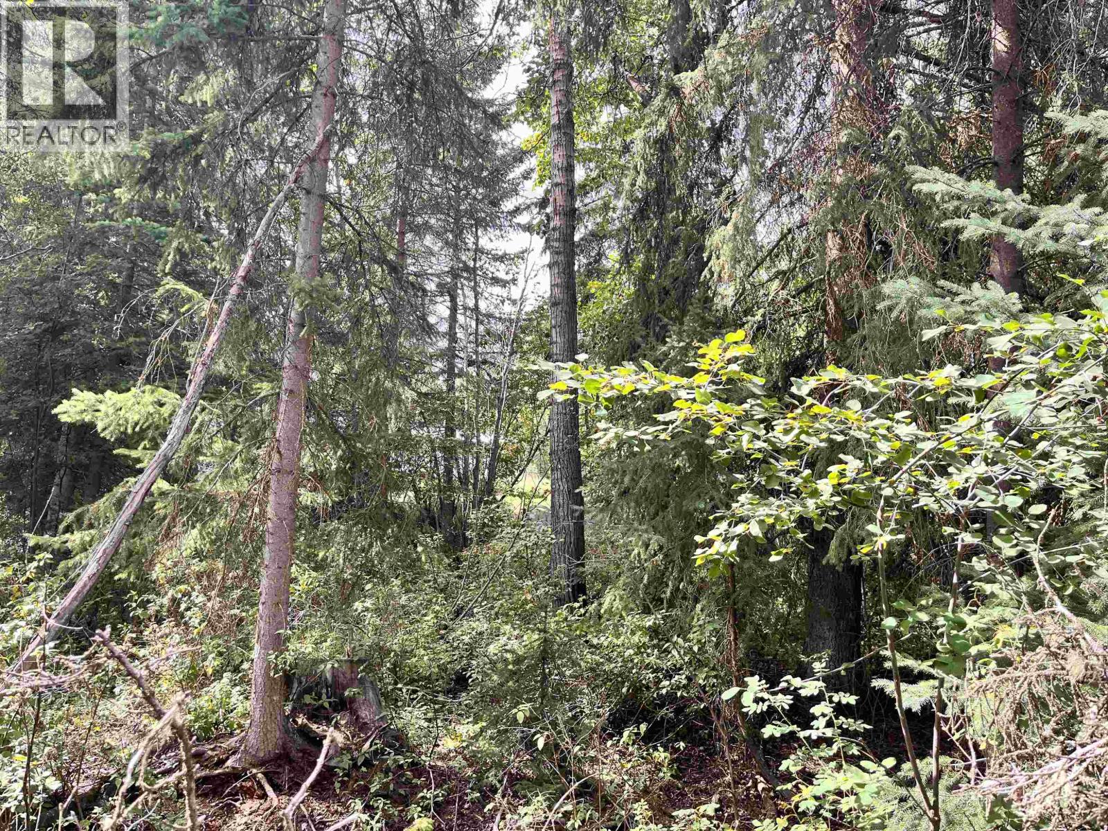 Lot 81 Mulligan Drive, Horse Lake, British Columbia  V0K 2E3 - Photo 6 - R3074457