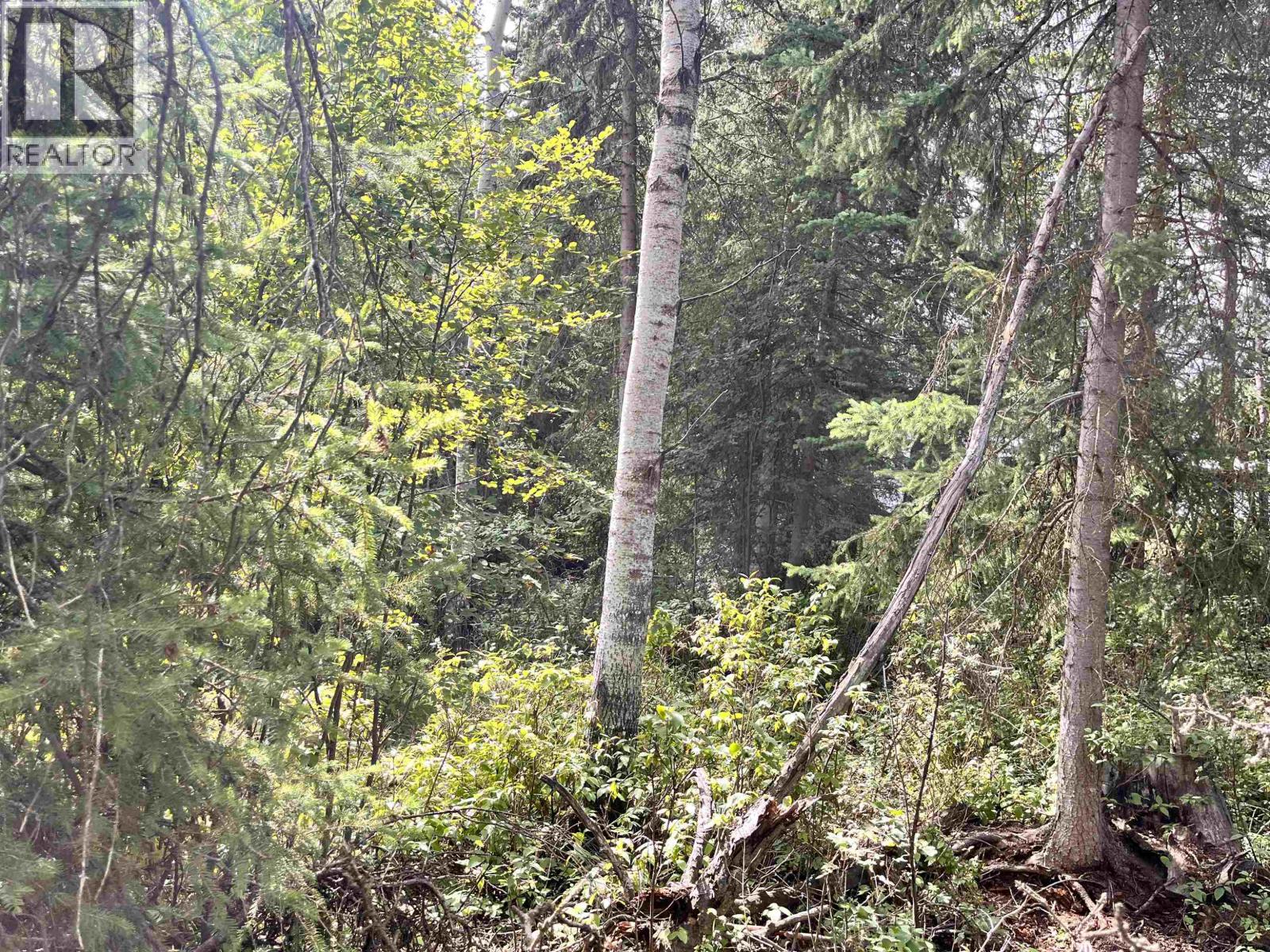 Lot 81 Mulligan Drive, Horse Lake, British Columbia  V0K 2E3 - Photo 7 - R3074457