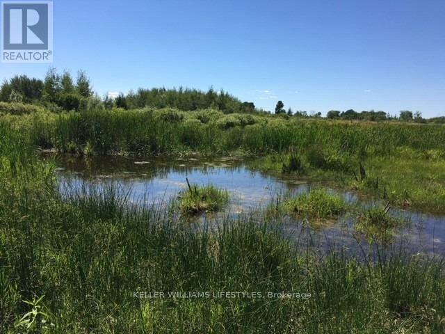 1049 Sandringham Road, Kawartha Lakes, Ontario  K0M 2T0 - Photo 3 - X12226816