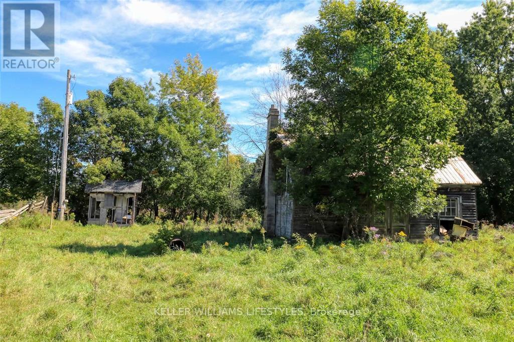 1049 Sandringham Road, Kawartha Lakes, Ontario  K0M 2T0 - Photo 5 - X12226816