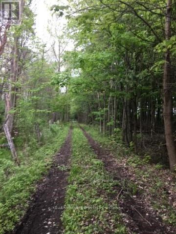 1049 Sandringham Road, Kawartha Lakes, Ontario  K0M 2T0 - Photo 9 - X12226816