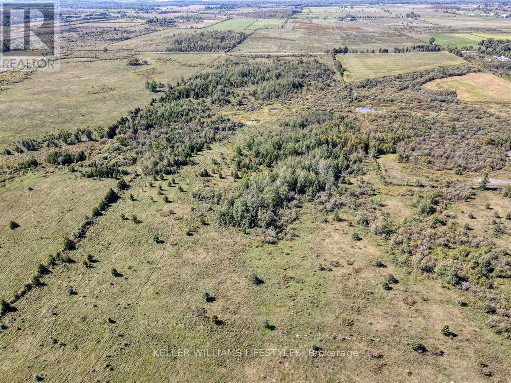 1049 Sandringham Road, Kawartha Lakes, Ontario  K0M 2T0 - Photo 8 - X12226816