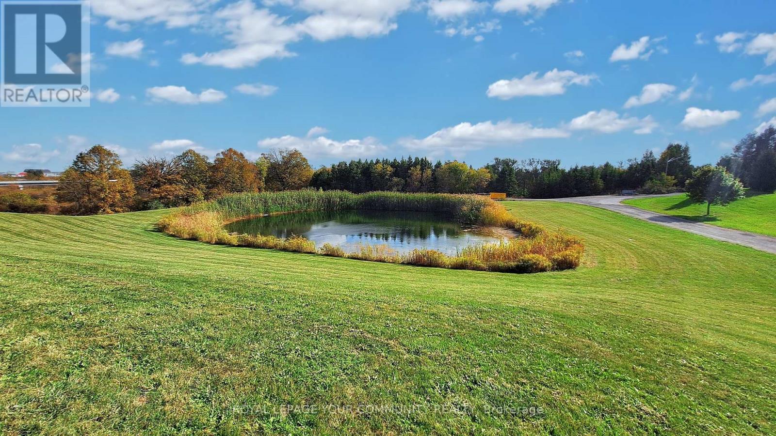 1065 20th Side Road, King (Schomberg), Ontario L0G 1T0 - Photo 50 - N12641508