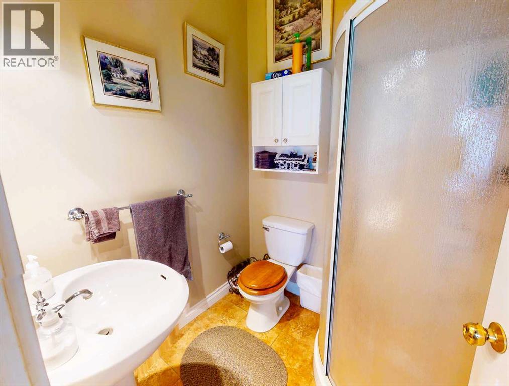 16040b Twp Rd 682, Plamondon, Alberta  T0A 2T0 - Photo 9 - A2275561