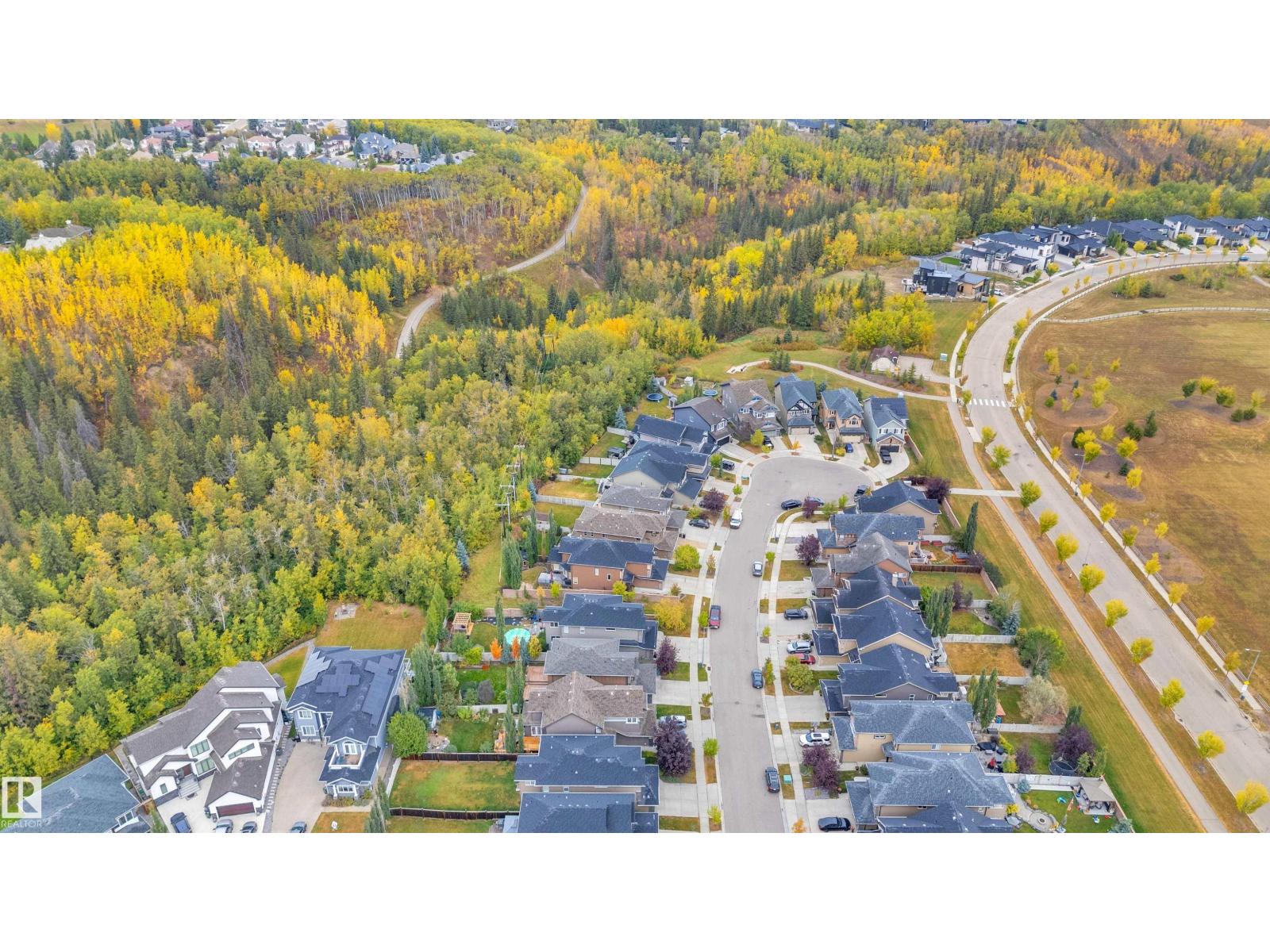 1422 Chahley Pl Nw Nw, Edmonton, Alberta  T6M 0J3 - Photo 5 - E4460542