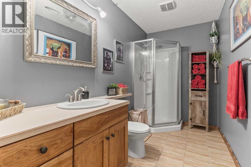 52 Westmount Circle, Okotoks, Alberta  T1S 0B6 - Photo 42 - A2274511