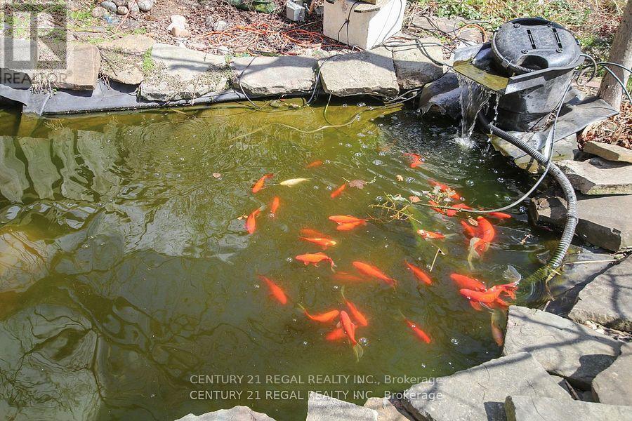 102 Newcastle Street, Toronto, Ontario  M8Z 1C8 - Photo 38 - W12642010