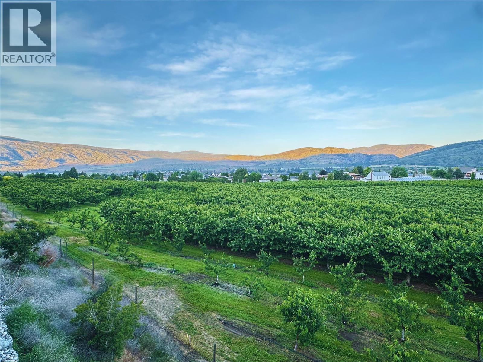 1257 Copper Road, Oliver, British Columbia  V0H 1T5 - Photo 20 - 10350437