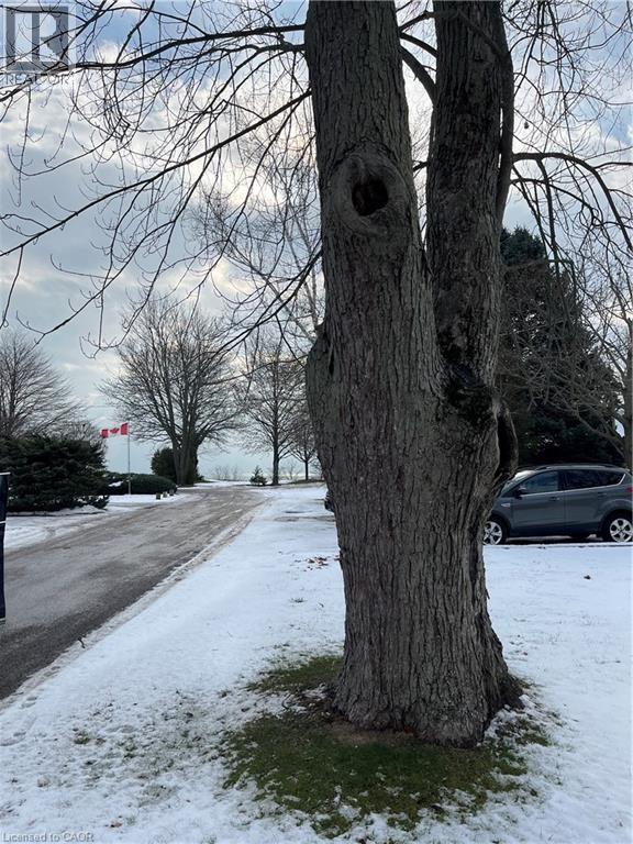 9 Kandracs Crescent, Port Dover, Ontario  N0A 1N0 - Photo 3 - 40776647