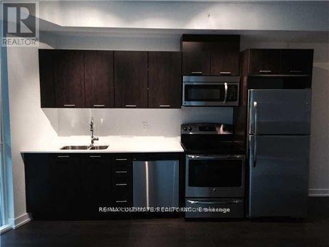 302 - 20 Bruyeres Mews, Toronto, Ontario  M5V 0G8 - Photo 6 - C12642034