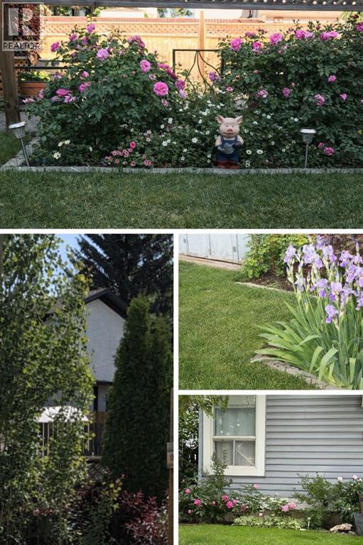 220 Whitewood Place Ne, Calgary, Alberta T1Y 3N4 - Photo 30 - A2268450