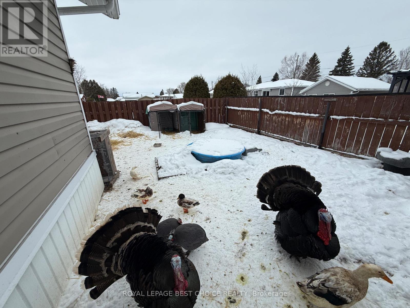 140 Caroline Court, Temiskaming Shores, Ontario  P0J 1P0 - Photo 9 - T12642090