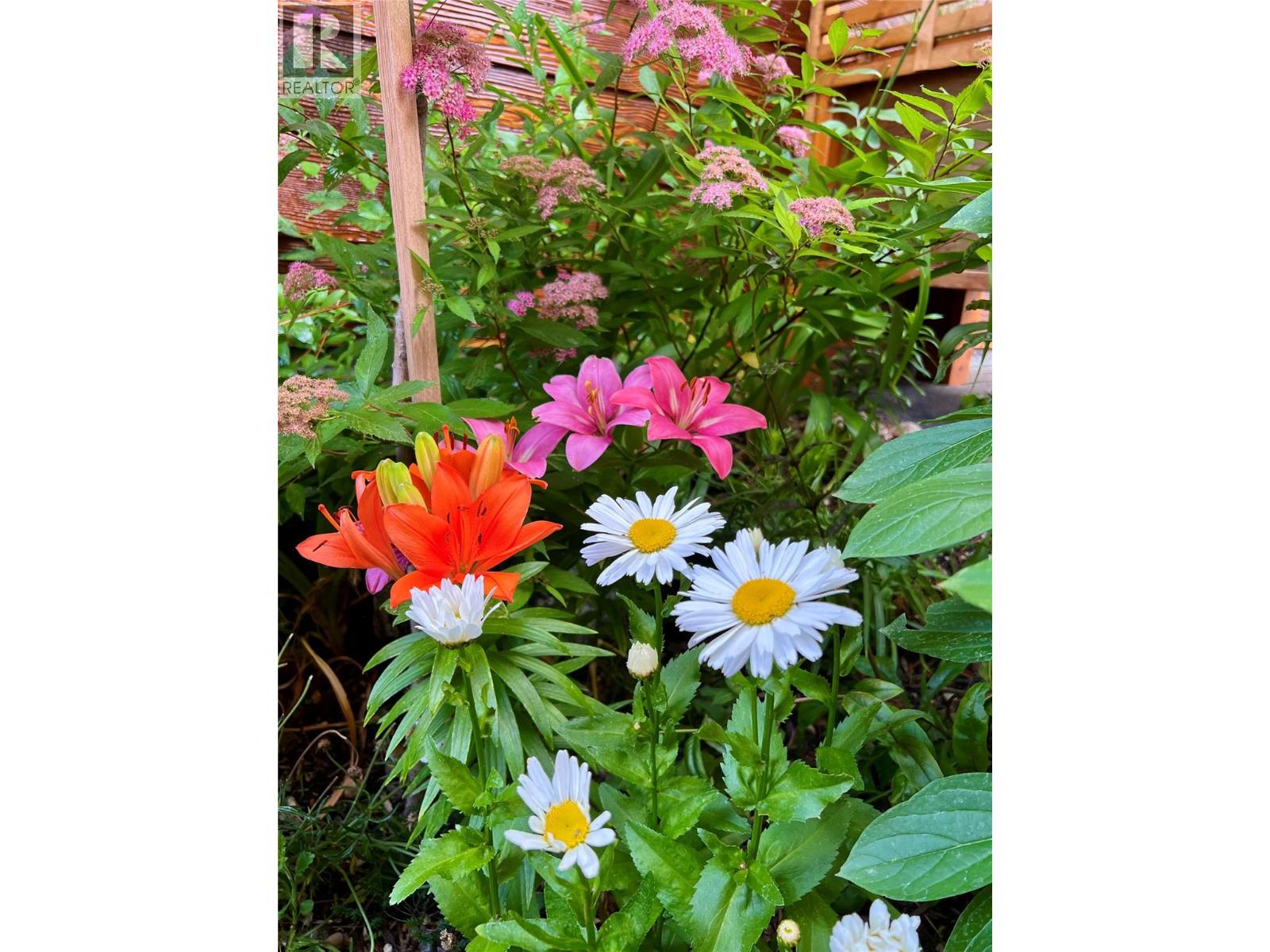 563 Mountain Drive, Vernon, British Columbia  V1H 2B7 - Photo 61 - 10370319