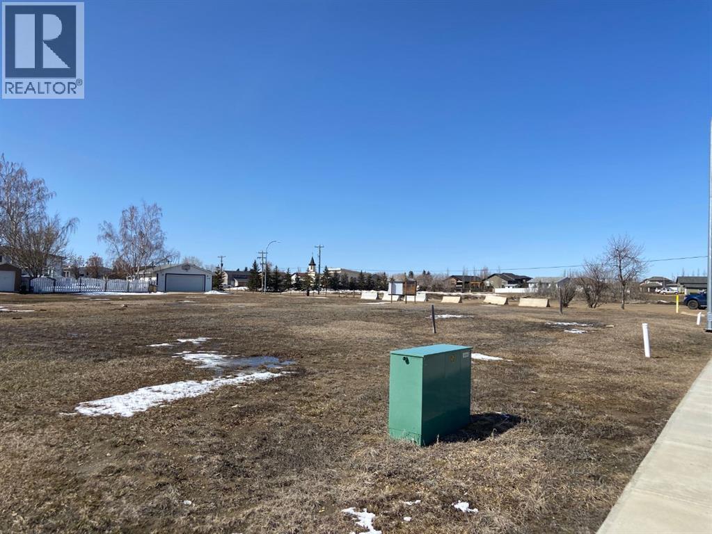 102 Fielding Place, Hanna, Alberta  T0J 1P0 - Photo 3 - A2275728