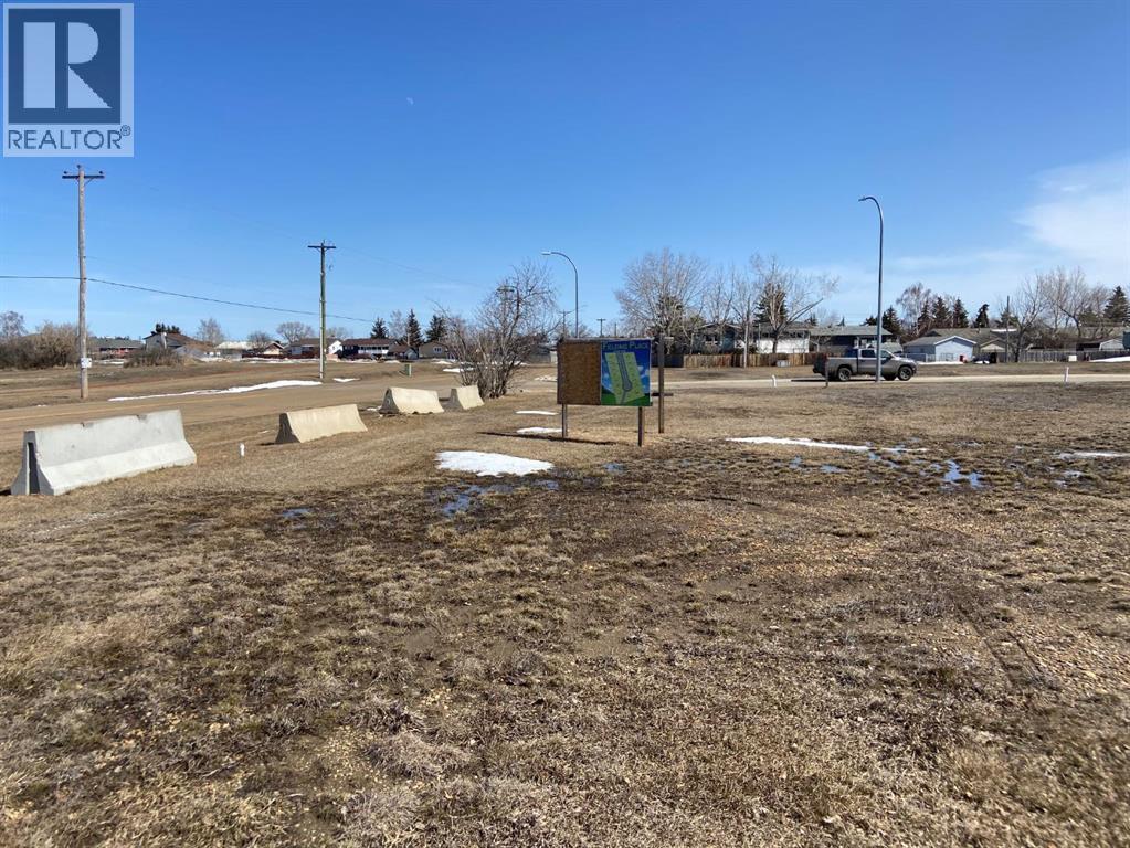 101 Fielding Place, Hanna, Alberta  T0J 1P0 - Photo 8 - A2275730