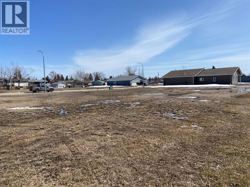 102 Fielding Place, Hanna, Alberta  T0J 1P0 - Photo 5 - A2275728