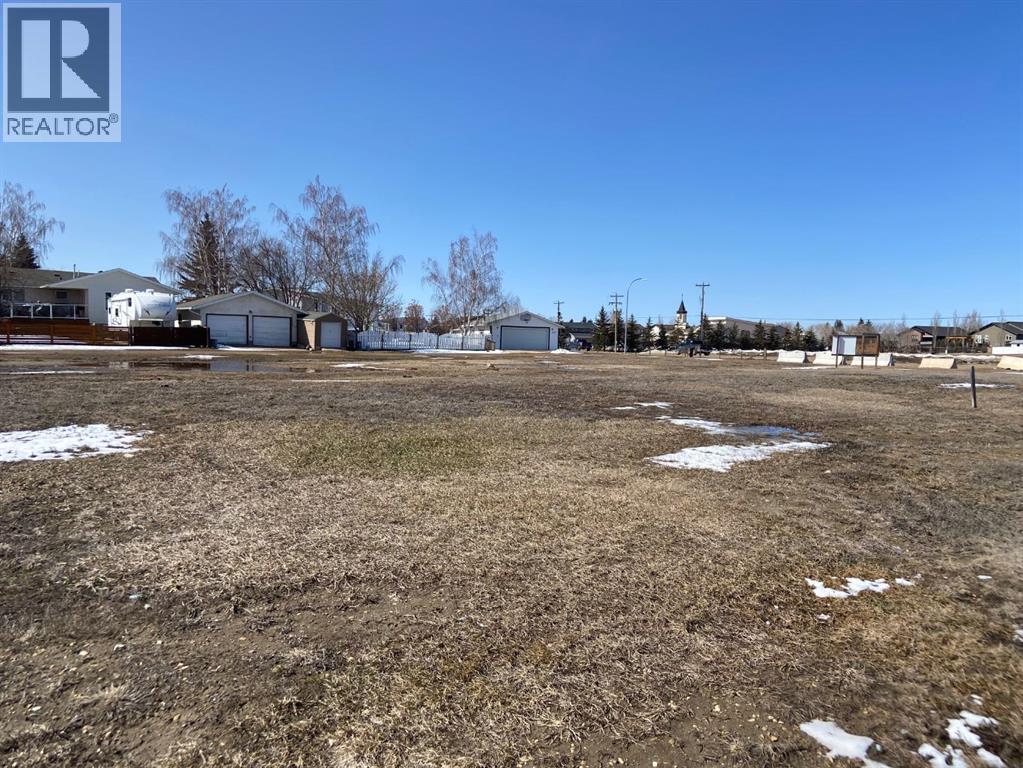 102 Fielding Place, Hanna, Alberta  T0J 1P0 - Photo 4 - A2275728