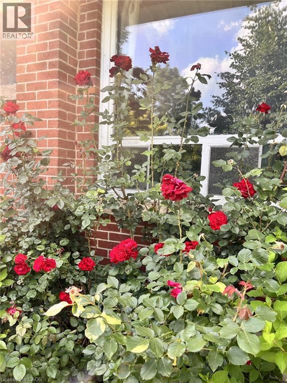 132 Hillcrest Avenue, Flamborough, Ontario  L9H 4X8 - Photo 39 - 40778719