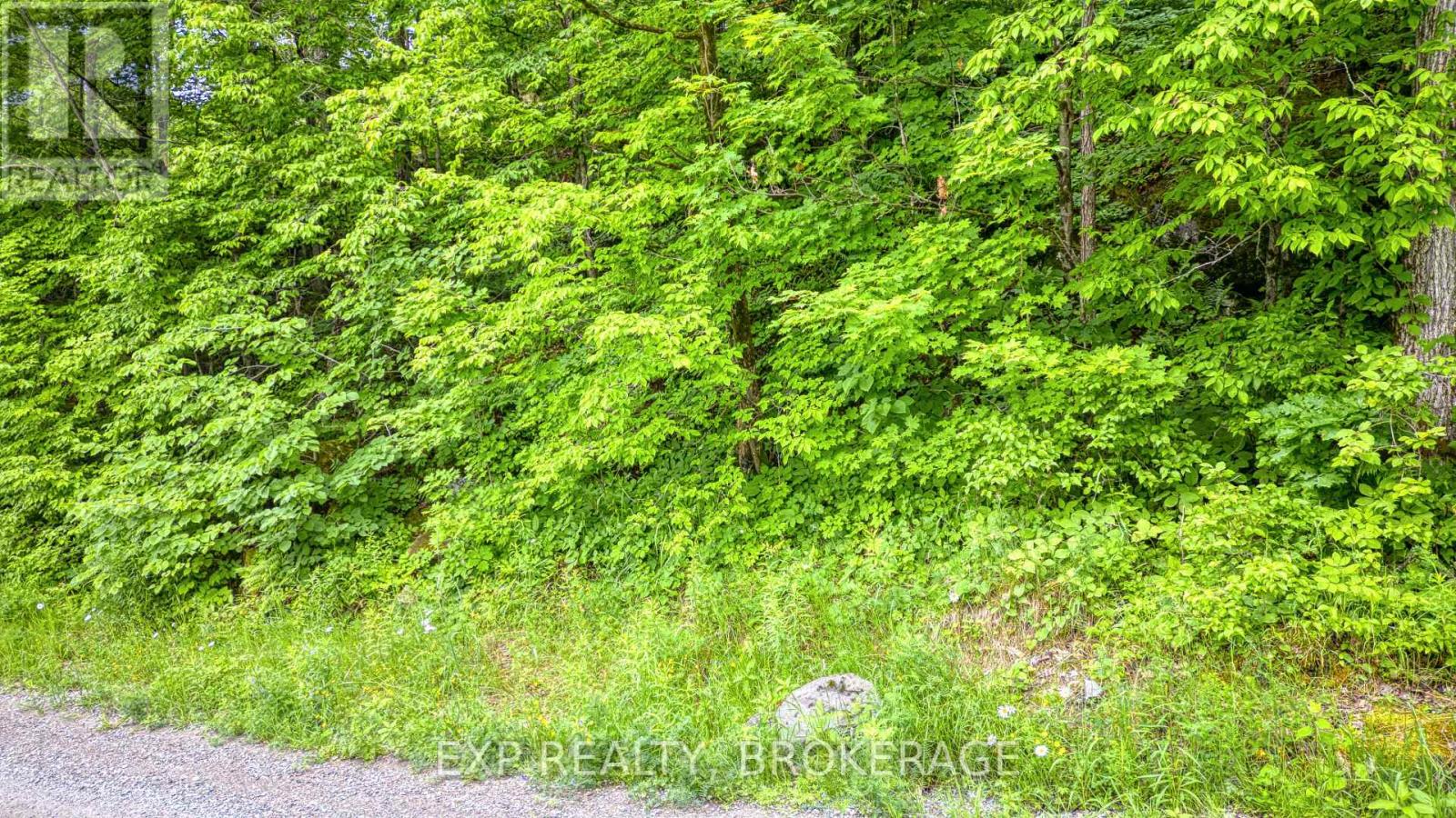 Pt Lt 14-15 Con 7 Echo Lake Road, Frontenac (Frontenac Centre), Ontario  K0H 1T0 - Photo 25 - X12642340