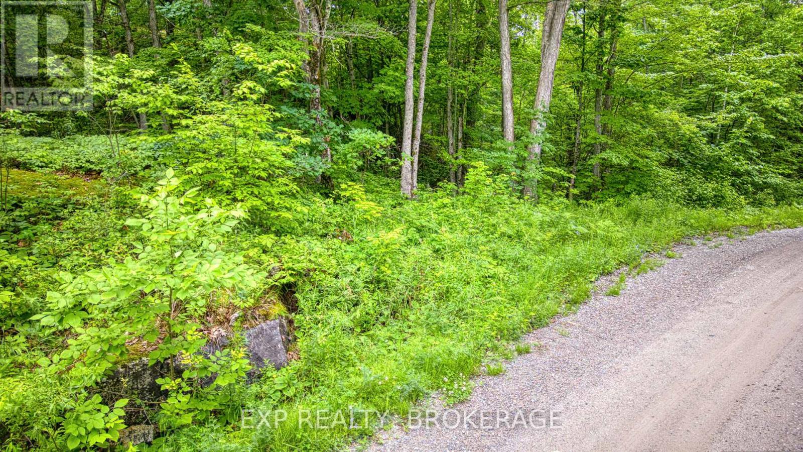 Pt Lt 14-15 Con 7 Echo Lake Road, Frontenac (Frontenac Centre), Ontario  K0H 1T0 - Photo 6 - X12642340