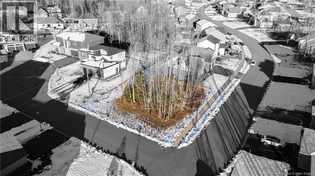 77 Blackstone, Moncton, New Brunswick  E1G 0P4 - Photo 5 - NB131390