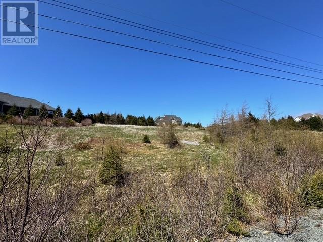 8 Ashkay Drive, Logy Bay, Newfoundland & Labrador  A1K 0G6 - Photo 6 - 1285378